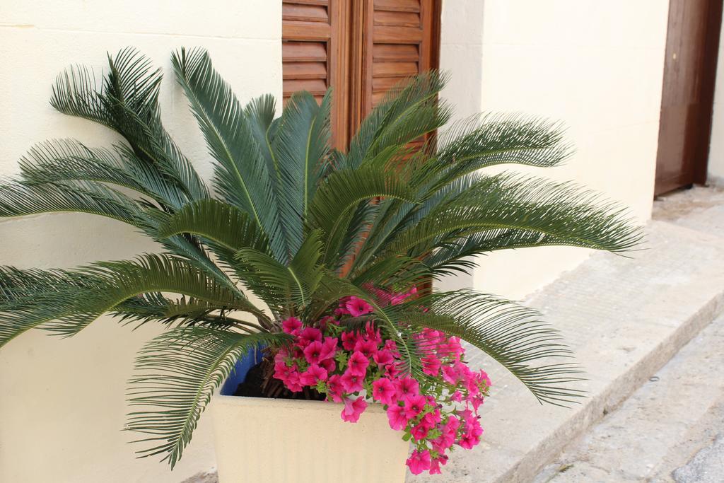 Palazzo Taormina Apartment Castellammare del Golfo Ngoại thất bức ảnh